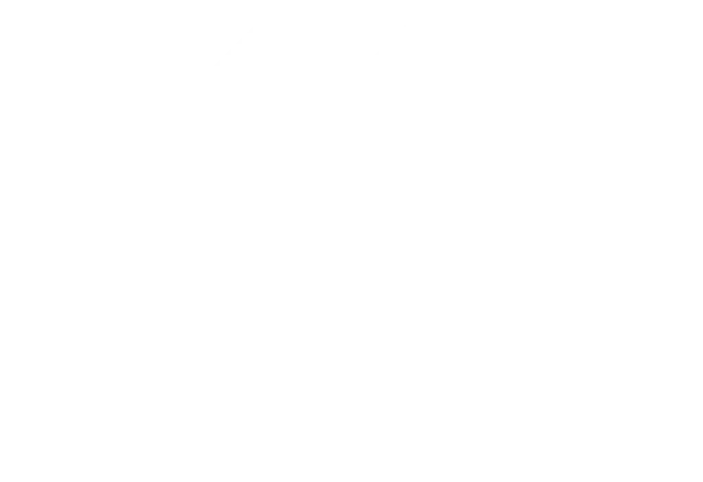 New age Logo